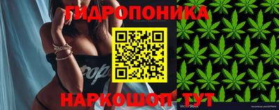 a pvp Обнинск
